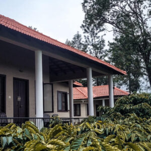 Blissful forest view rooms near Madikeri