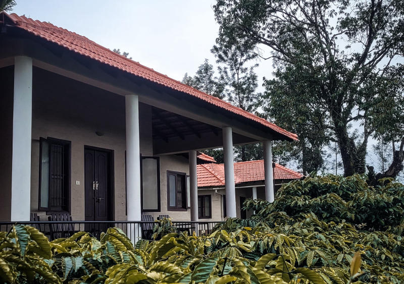 Blissful forest view rooms near Madikeri