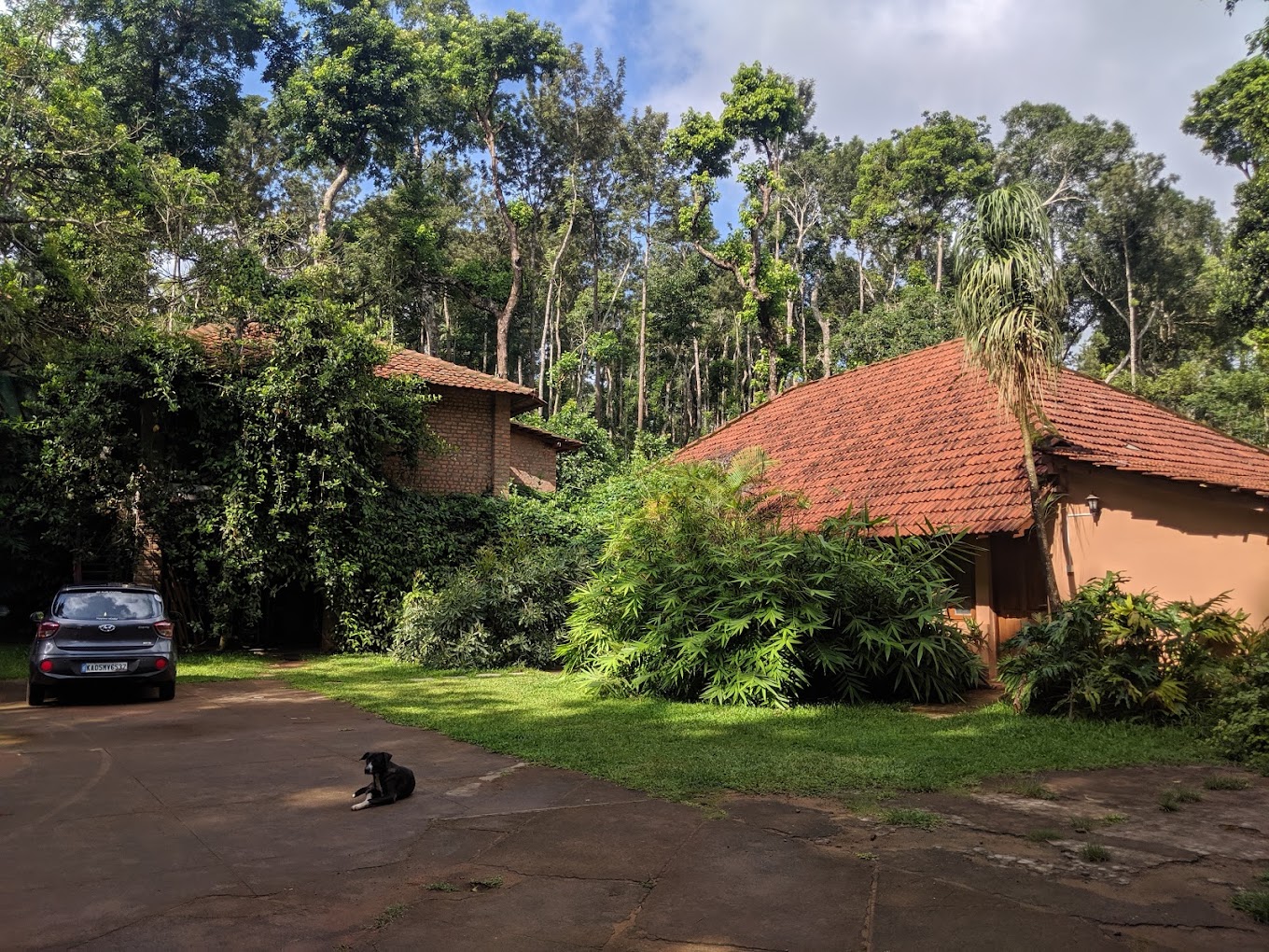 Nature's Haven Homestay