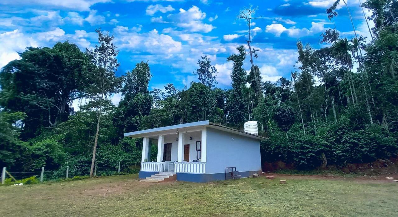 Delightful Private Cottage Amidst the Coffee Farms