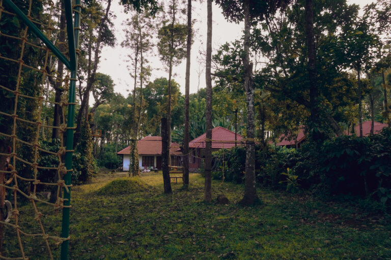 DSC01675