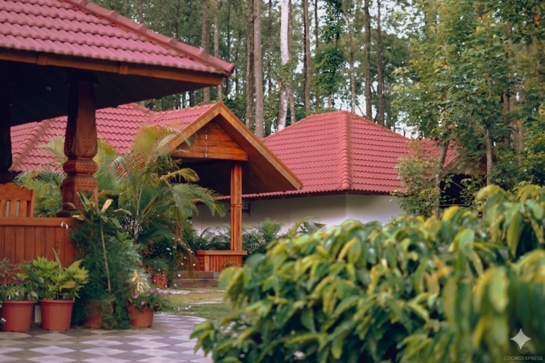 Gemini_Generated_Image_no7or0no7or0no7o