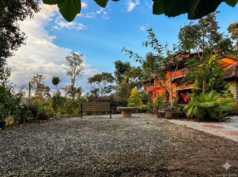 Gemini_Generated_Image_vogzzevogzzevogz